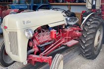 1951 Ford 8N Special - Farm Tractors & Equipment