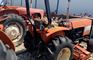1981 Allis Chalmers 5020 - Farm Tractors & Equipment